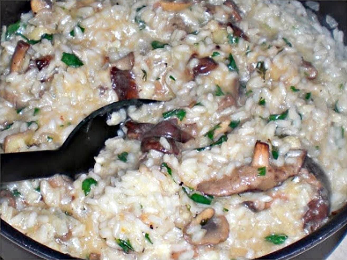 Risotto de Cogumelos • Livro de Culinária