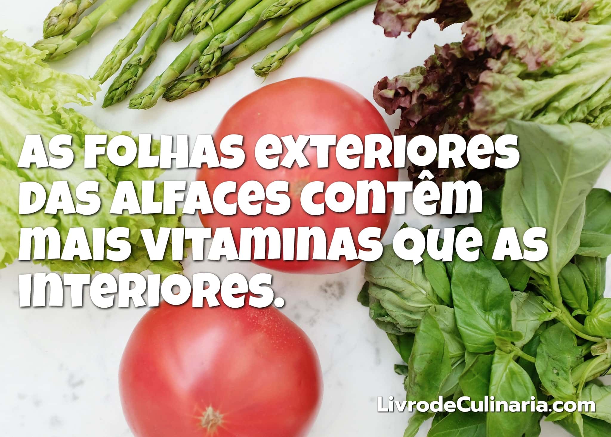 dicas-folhas-alface dicas-folhas-alface
