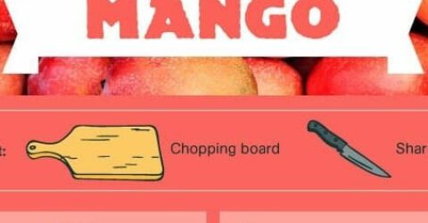 Como-Cortar-Manga-Mango-EN 2