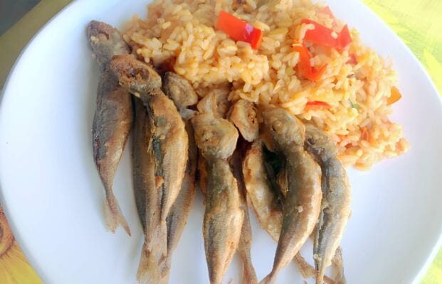 Jaquinzinhos Fritos com Arroz de Tomate